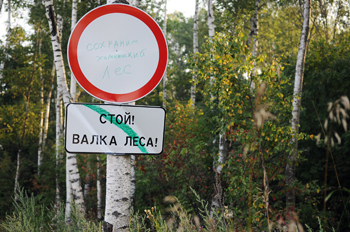 Вероника Максимюк - «Новая»