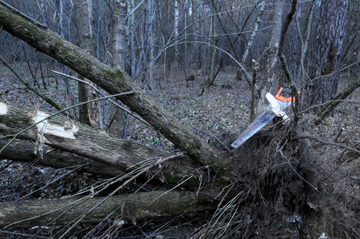 фото - Вероника Максимюк «Новая»