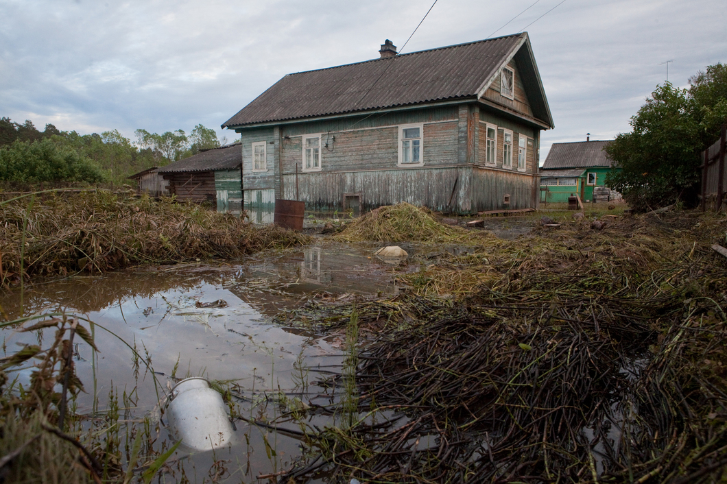 Фото поселок любытино