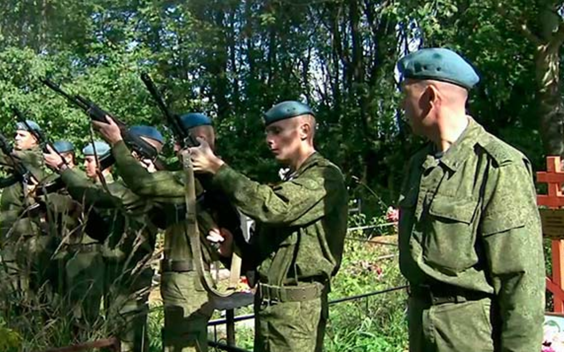 Отпуск солдат срочной службы украіна, кухня разных народов мира и лапа кенгуру цветок уход за ним Отпуск солдат срочной службы украіна