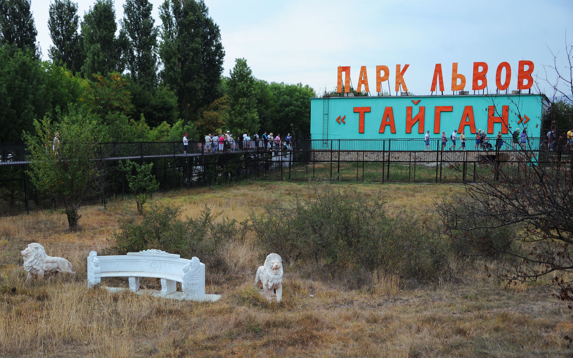 Фото тайган парка в крыму